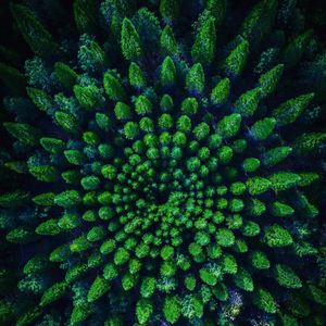 Image post by @dronepals on Instagram