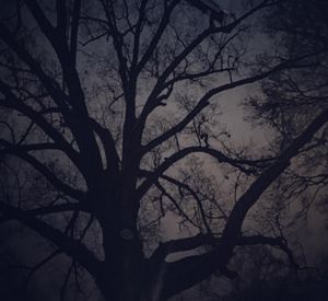 Image post by @shipphappens__ on Instagram