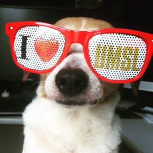 Image post by @umsl on Instagram