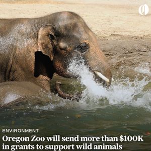 Image post by @theoregonian on Instagram