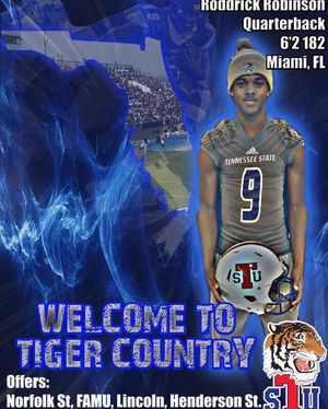 Image post by @tsutigersfb on Instagram