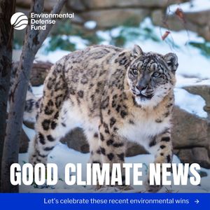 Image post by @environmental_defense_fund on Instagram