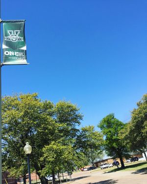 Image post by @mvsu1950 on Instagram