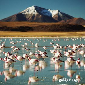 Image post by @gettyimages on Instagram