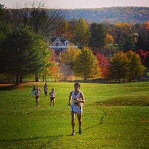 Image post by @hofstratrackxc on Instagram