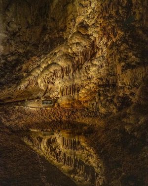 Image post by @nationalparkscollective on Instagram