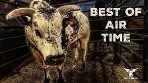 Video post by @pbr on YouTube