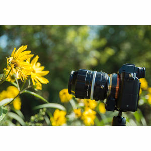 Image post by @fotodioxpro on Instagram