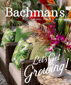 Image post by @shopbachmans on Instagram