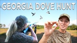 Video post by @barstooloutdoors on YouTube