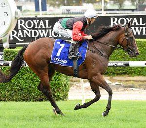 Image post by @australianturfclub on Instagram