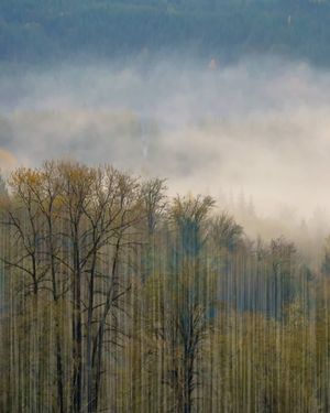 Image post by @amy.kennedy.photos on Instagram