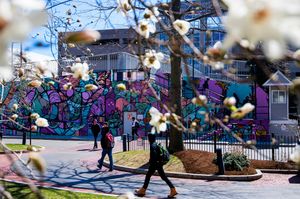 Image post by @northeastern on Instagram