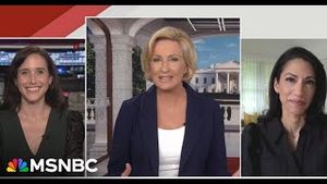 Video post by @msnbc on YouTube