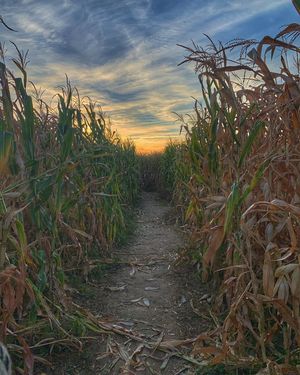 Image post by @boise_bucketlist on Instagram