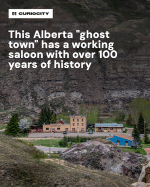 Image post by @curiocitycalgary on Instagram