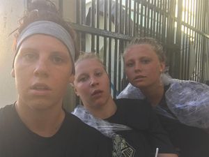 Image post by @purduewswimdive on Instagram