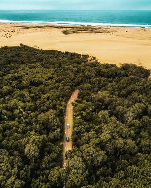 Image post by @dronepals on Instagram