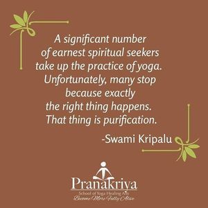 Image post by @pranakriya on Instagram