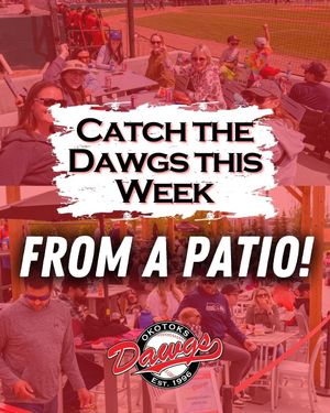Image post by @okotoksdawgs on Instagram