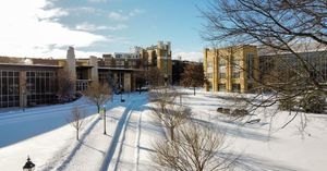 Image post by @misericordiaalumni on Instagram