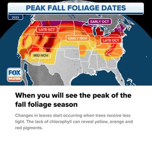 Image post by @foxweather on Instagram
