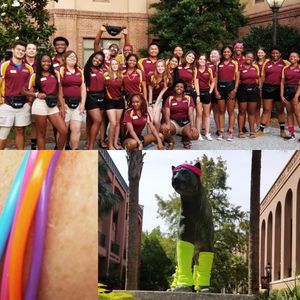 Image post by @collegeofcharleston on Instagram