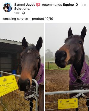 Image post by @equineidsolutions on Instagram