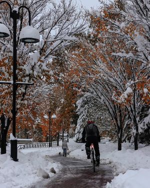 Image post by @cityofcalgary on Instagram