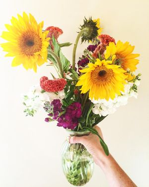 Image post by @theamandabittner on Instagram