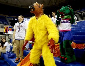 Image post by @gatorsports on Instagram