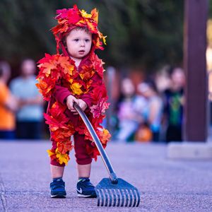 Image post by @downtowntempe on Instagram
