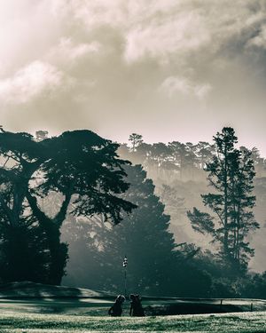 Image post by @pebblebeachresorts on Instagram