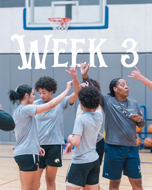 Image post by @utamavswbb on Instagram