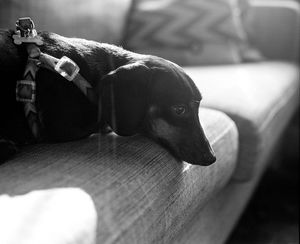 Image post by @bycorrigan on Instagram