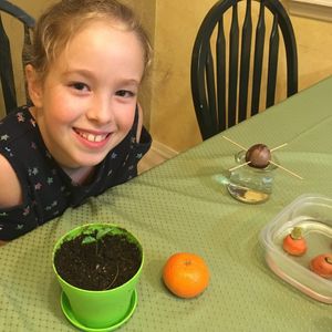 Image post by @kidsgardening on Instagram