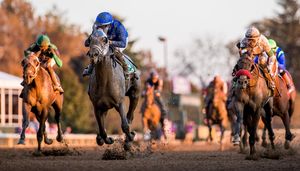 Image post by @breederscup on Instagram