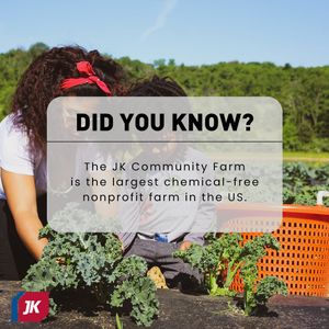 Image post by @jkmoving on Instagram