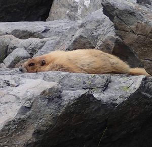 Image post by @nationalparkservice on Instagram