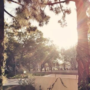 Image post by @asicsuf on Instagram