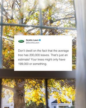 Image post by @scottslawn on Instagram