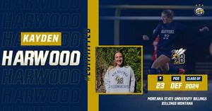 Image post by @CasteelSoccer on Twitter/X