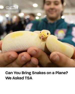 Image post by @thrillist on Instagram