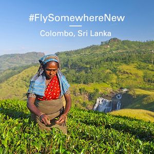 Image post by @cathaypacific on Instagram