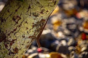Image post by @jackportunephotography on Instagram