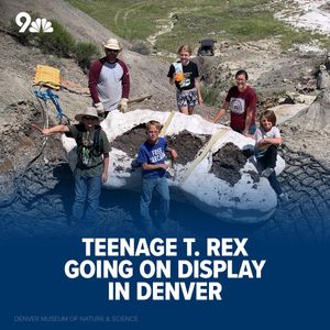 Image post by @9newsdenver on Instagram