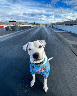 Image post by @newenglanddragway on Instagram