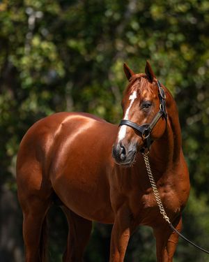 Image post by @spendthriftfarm on Instagram