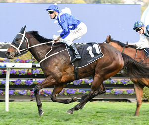 Image post by @australianturfclub on Instagram