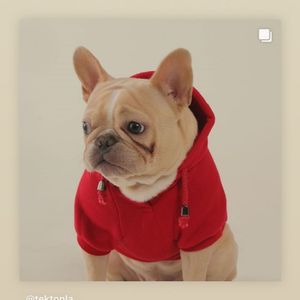 Image post by @tektonla on Instagram